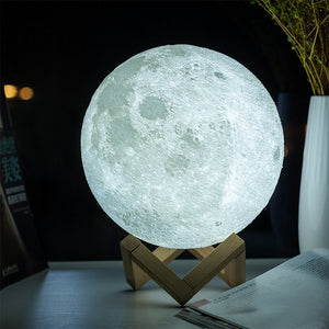 Lunar Globe Lamp